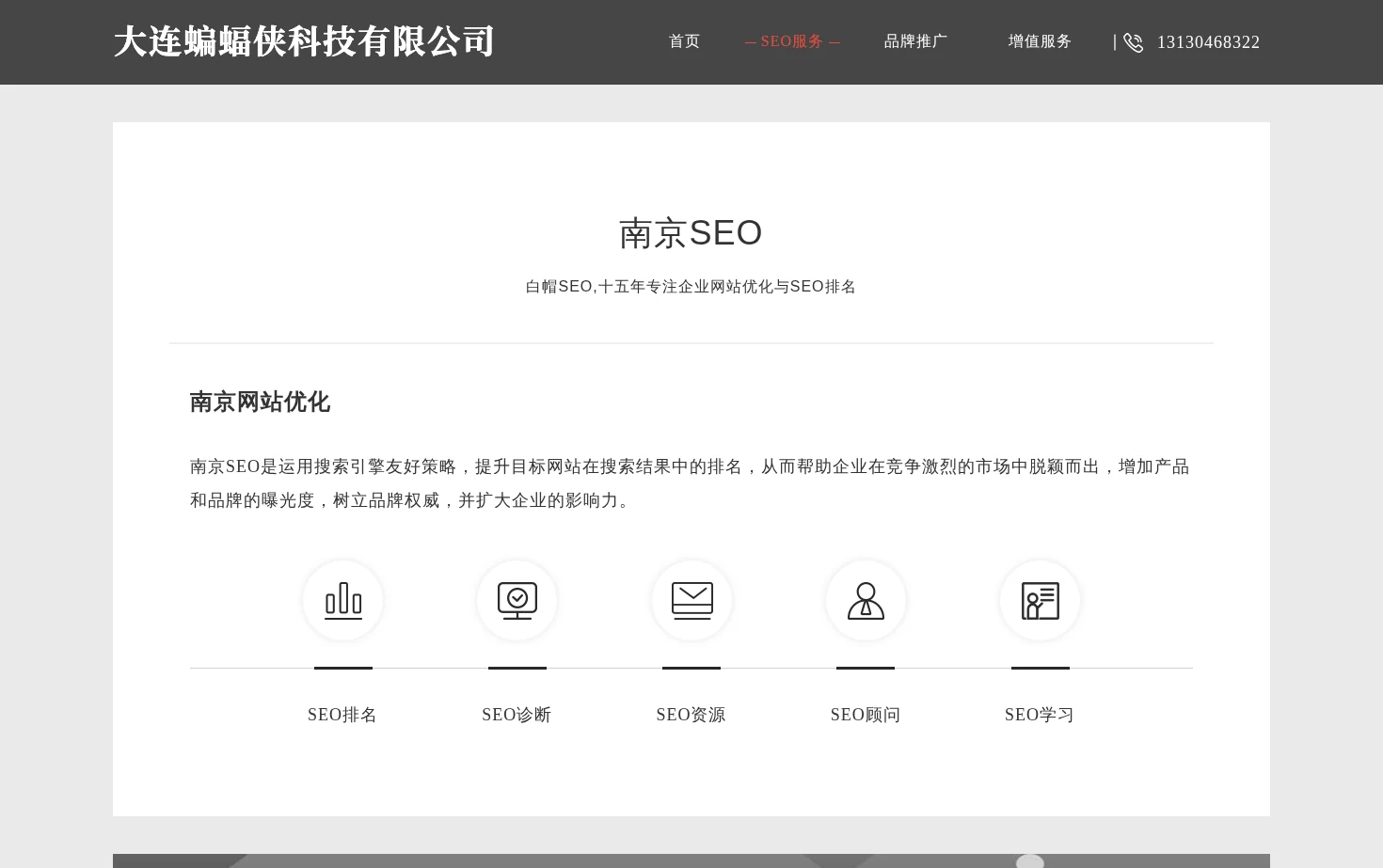 南京SEO 页面快照